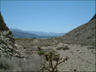 desert vegetation, near Bahia de los Angeles, Baja California, Mexico