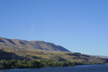 riparian area, Columbia River near The Dalles, Washington