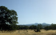 savanna, Lassen Co., California