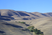 Arid steppe, Klickitat Co., Washington