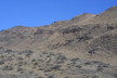 Arid steppe, Klickitat Co., Washington