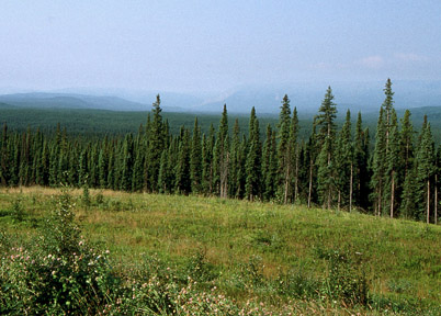 Foothills west of Edmonton, Alberta