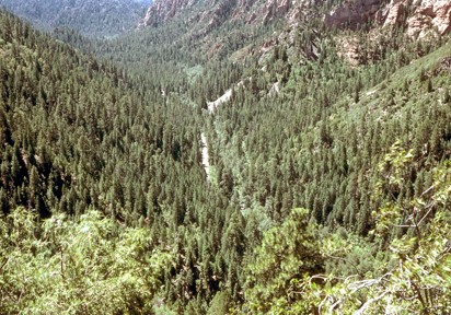 Oak Creek Canyon, near Sedona, Arizona