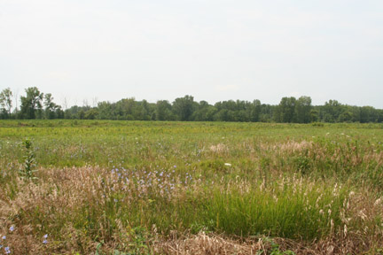 Mindewin National Tallgrass Prairie, Wilmington, Illinois