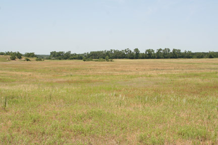 Prairie, eastern Nebraska