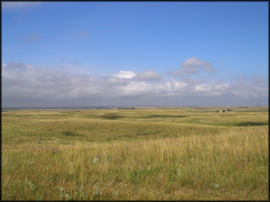 shortgrass prairie, Ordway preserve, North Dakota
