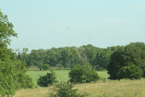 near Schulenburg, Texas