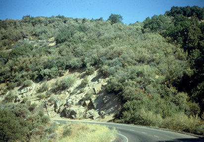 Chaparral east of Fresno, California