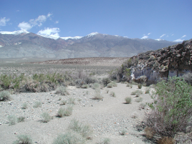 Owens Valley, near Bishop, Inyo Co., CA