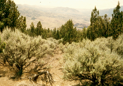 eastern Oregon