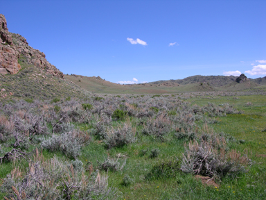 Shrub steppe near Laramie, Wyoming