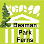 Beaman Park fern list