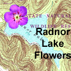 Radnor Lake flower list